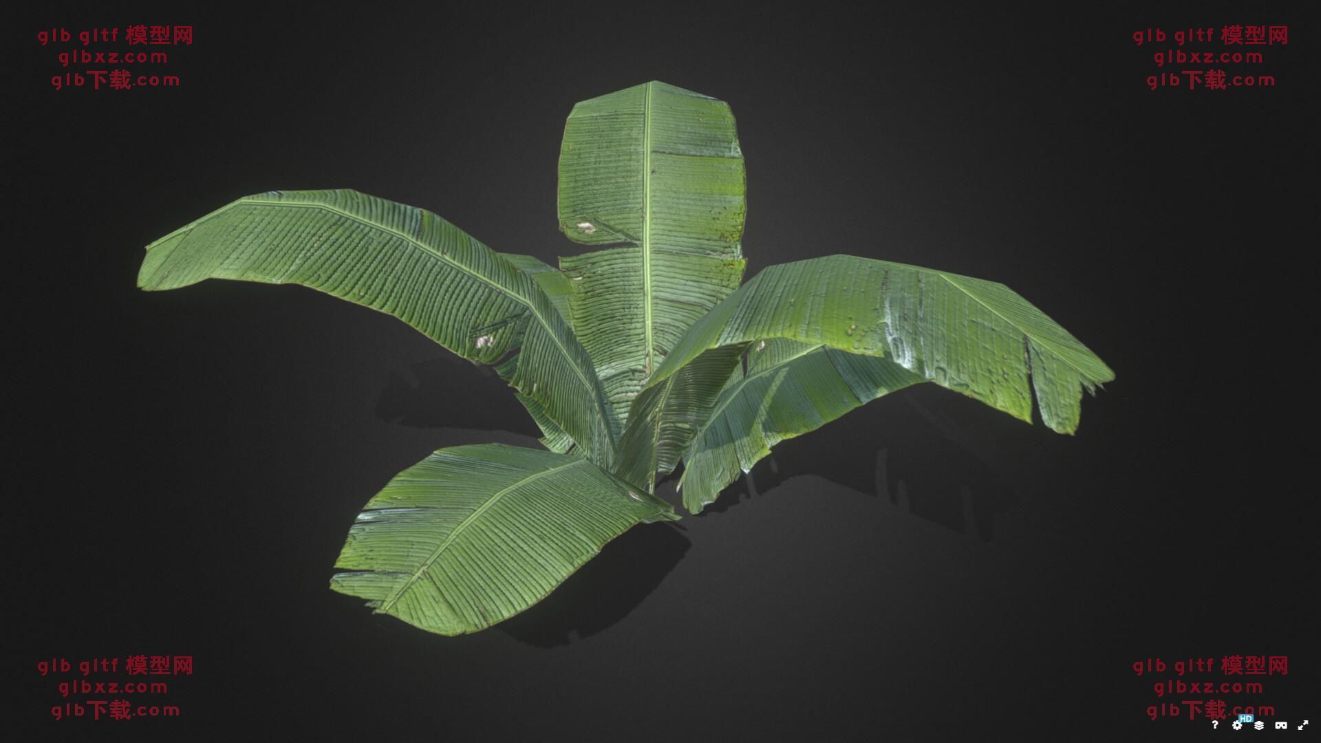 热带植物GLB/GLTF模型3d模型下载 热带植物GLB/GLTF模型3d模型下载