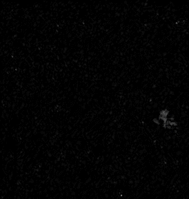 烟雾动画glb格式gltf模型