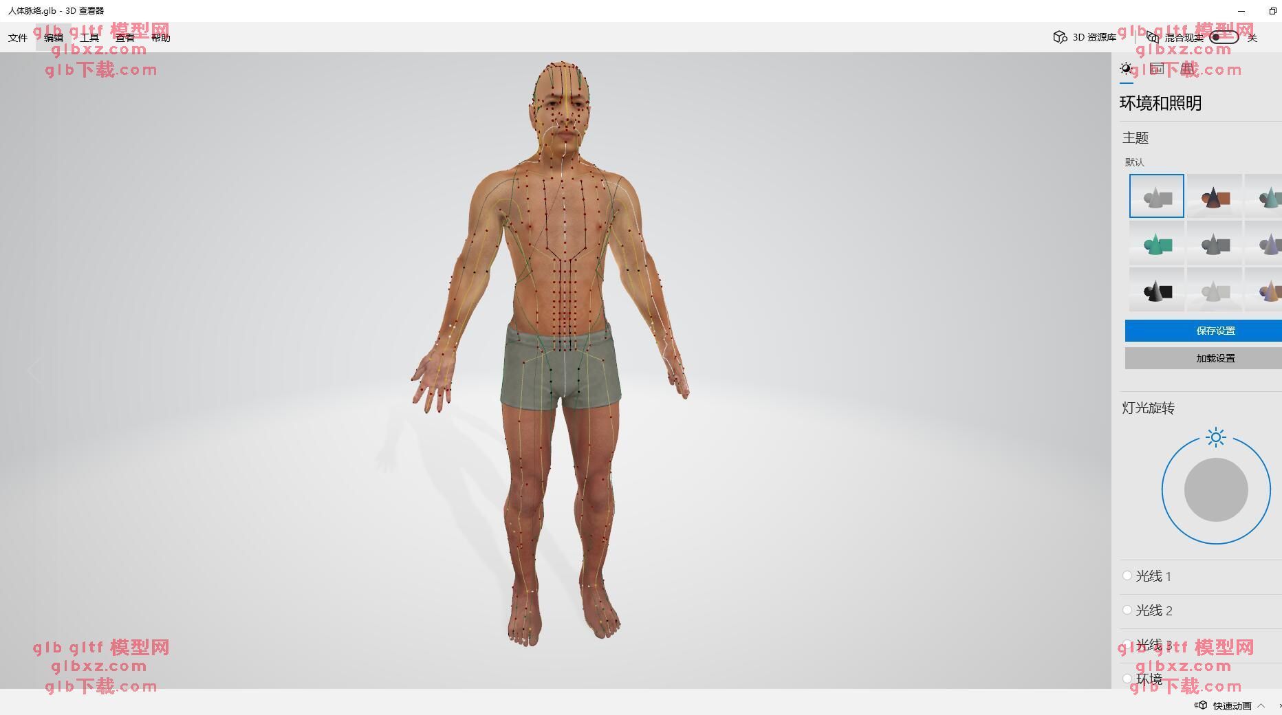亚洲中国人体脉络穴位中医经络穴位GLB/GLTF模型3d模型下载